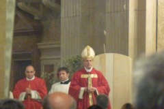 2017_apr_9_domenica delle palme_mons. Viola_diocesi