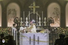 0450_ZLB0173©MdG_20_11_2024_©_Luigi_Bloise