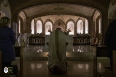 thumbs-0251_ZBL0656©MdG_20_11_2024_©_Luigi_Bloise