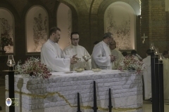 thumbs-0445_ZBL1295©MdG_20_11_2024_©_Luigi_Bloise