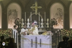 thumbs-0450_ZLB0173©MdG_20_11_2024_©_Luigi_Bloise