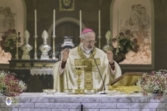 thumbs-0454_ZLB0185©MdG_20_11_2024_©_Luigi_Bloise