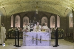 thumbs-0456_ZBL1306©MdG_20_11_2024_©_Luigi_Bloise