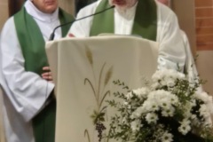 5a126c81-af4f-4a9b-b7d1-00c6d7df75b4